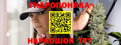 PSILOCYBIN Кандалакша